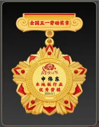 木地板優(yōu)秀行業(yè)優(yōu)秀勞?！陚|
